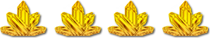 Bewertungen